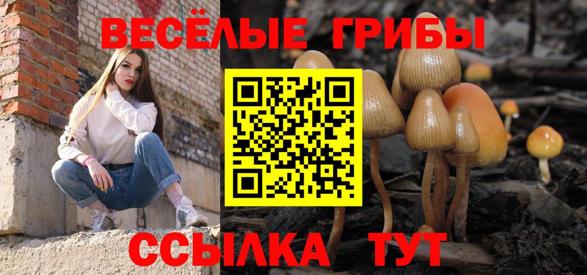 Псилоцибиновые грибы Cubensis  магазин продажи   Томск  Вход с VPN 